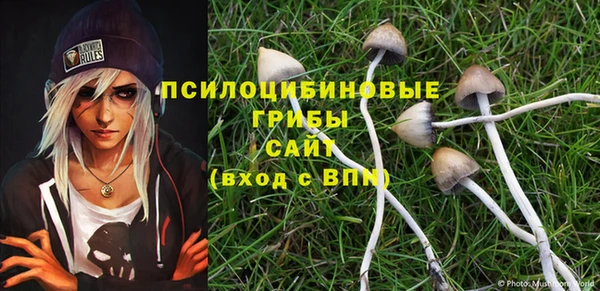 спиды Алексеевка