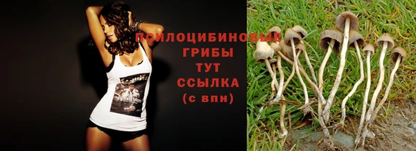 ешки Абаза