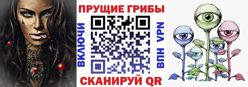 купить  сайты  Сафоново  Псилоцибиновые грибы мицелий 
